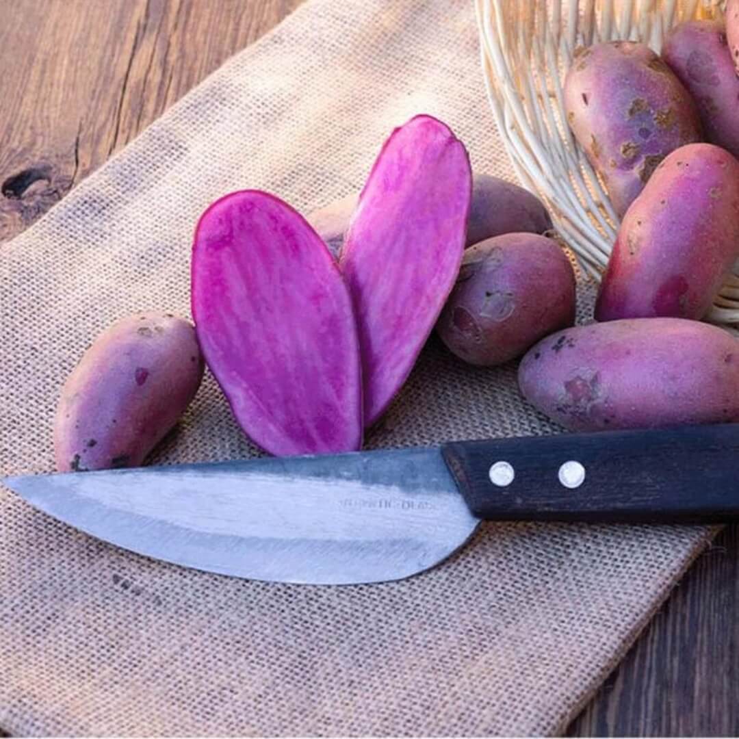 Authentic asian chef's knife