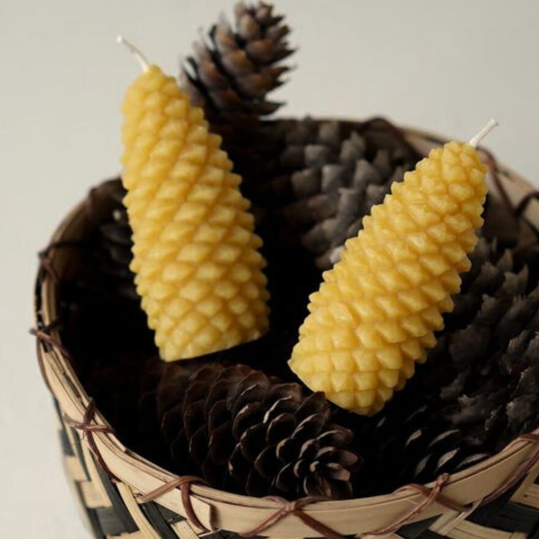 Pine cone candle 100% beeswax