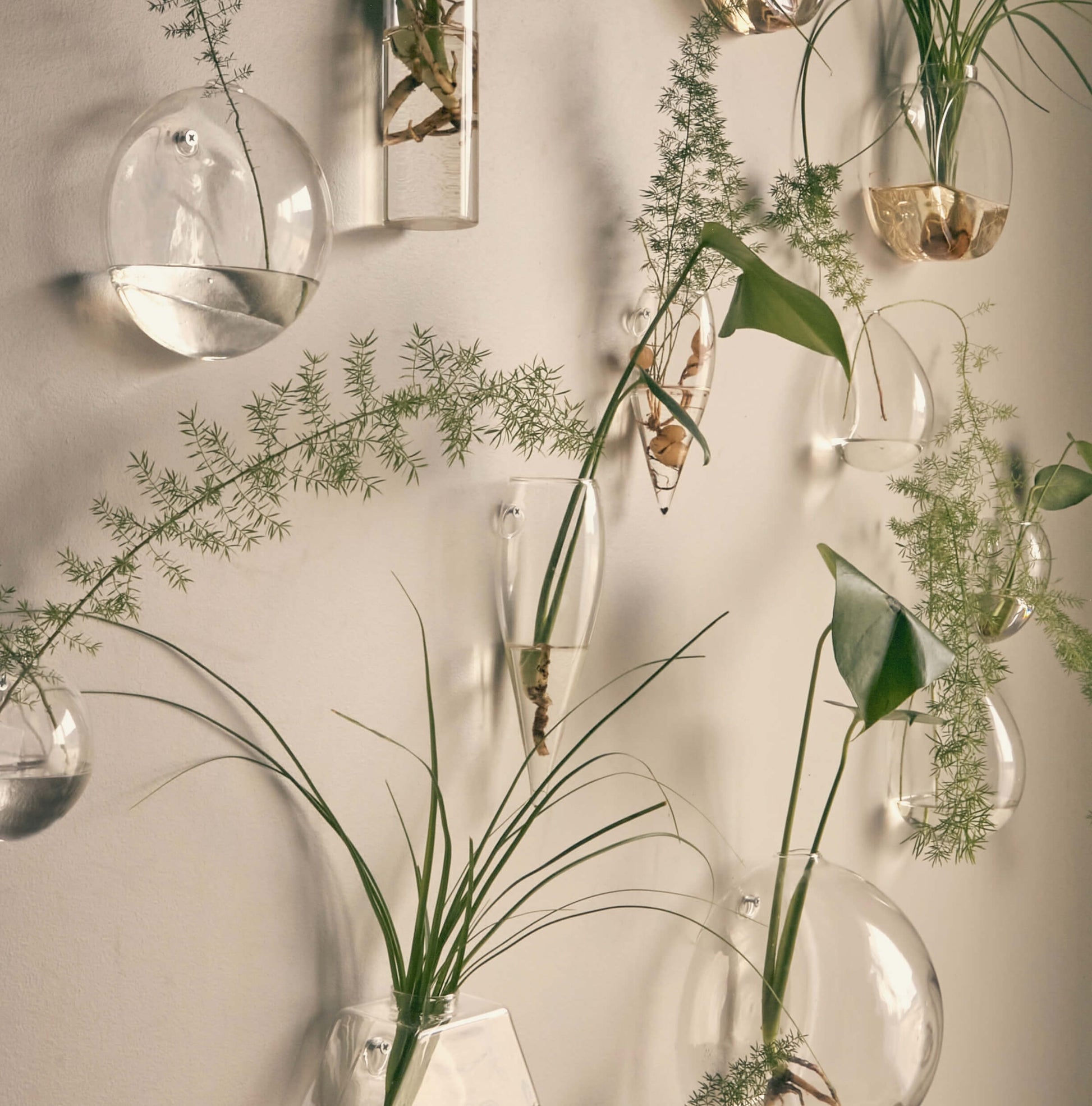 Glass Terrarium - wall hanging vase - Unik by Nature