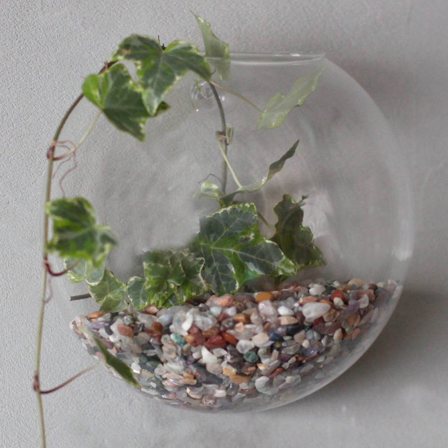 Glass Terrarium - wall hanging vase - Unik by Nature