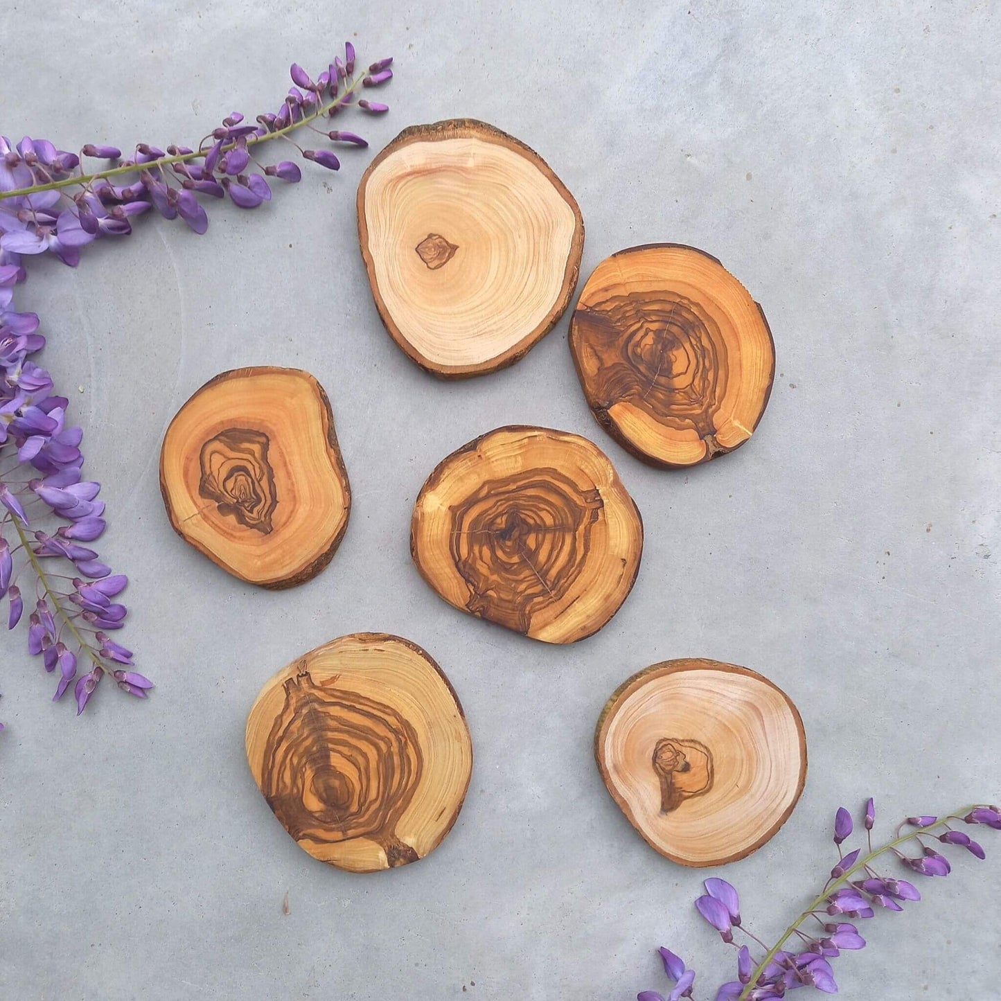 Olive wood coasters set of 6 - Unik by Nature
