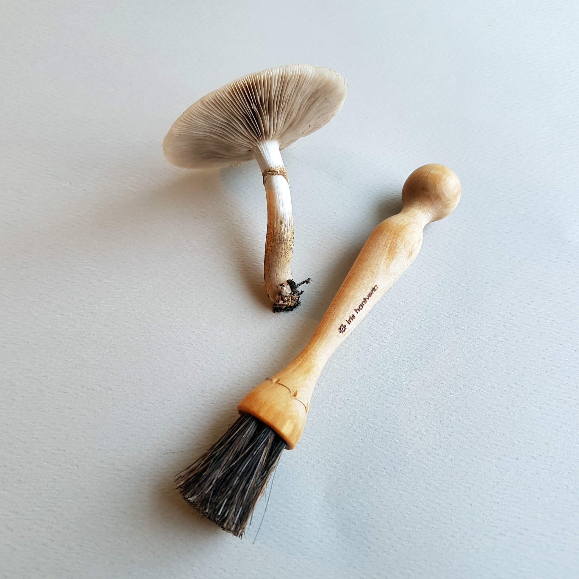 Swedish mushroom brush
