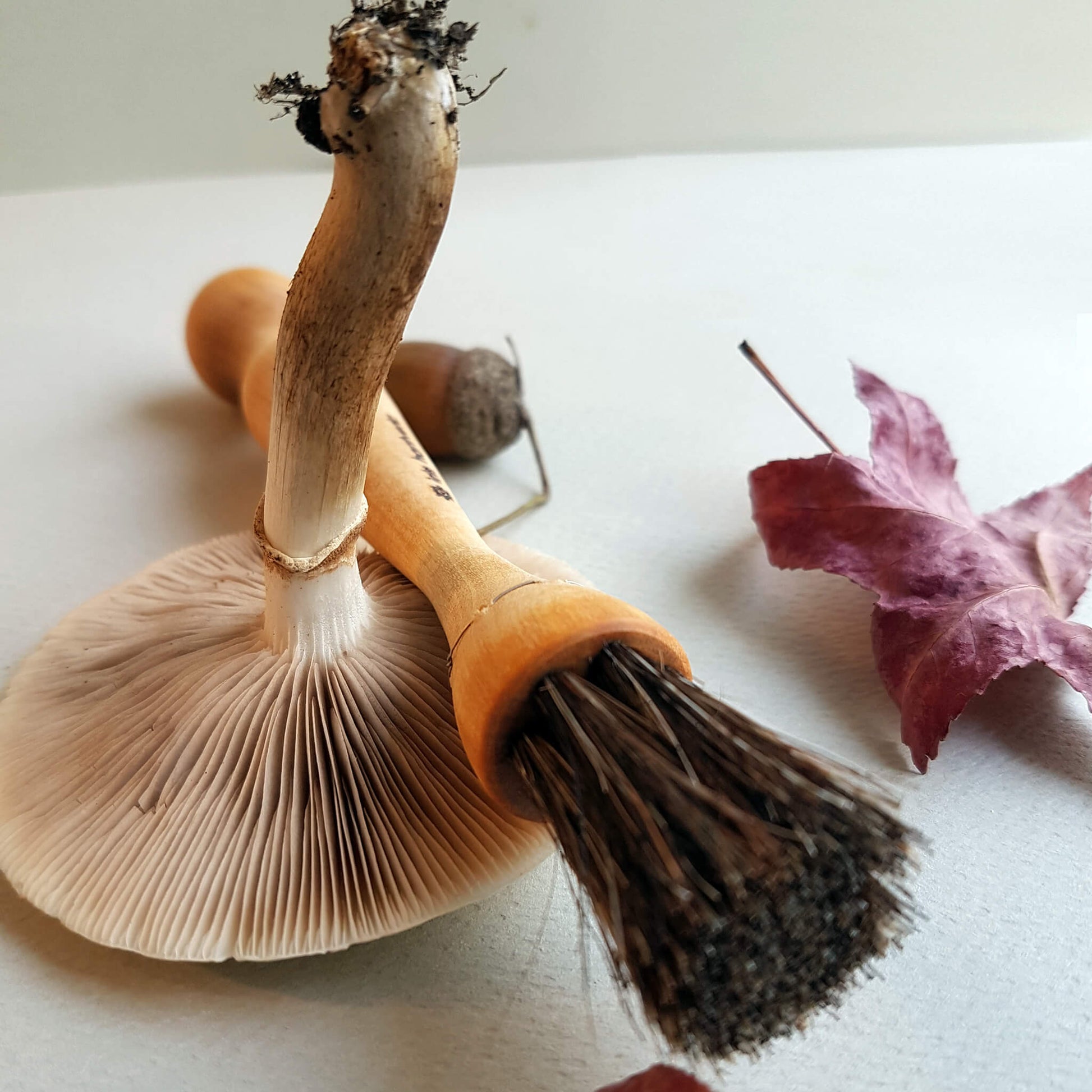 Mushroom Brush Handmade