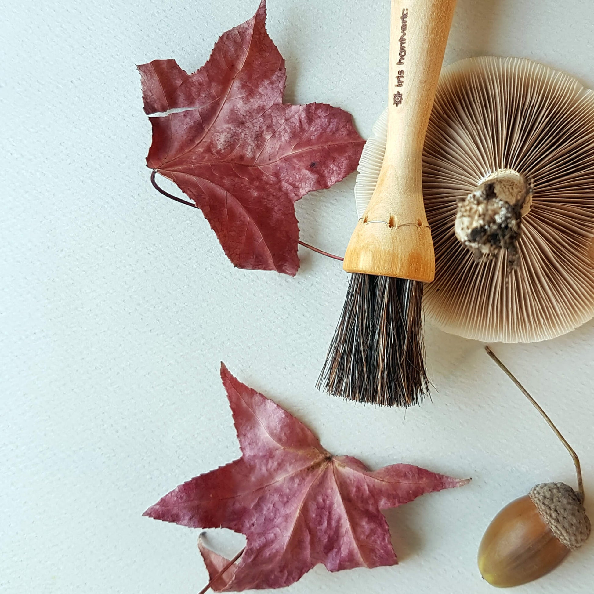 Iris Hantverk Natural Mushroom Cleaning Brush - Made of Birch & Horsehair
