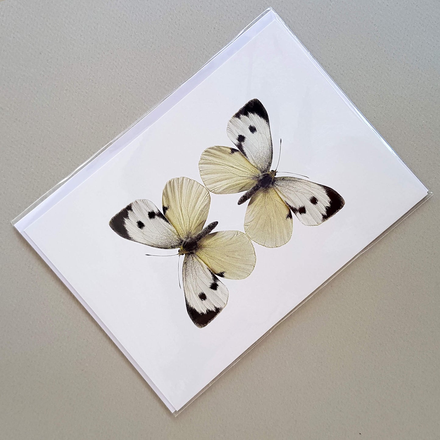 Macro Photography Greeting Card with Envelope Two White Butterflies - Unik by Nature