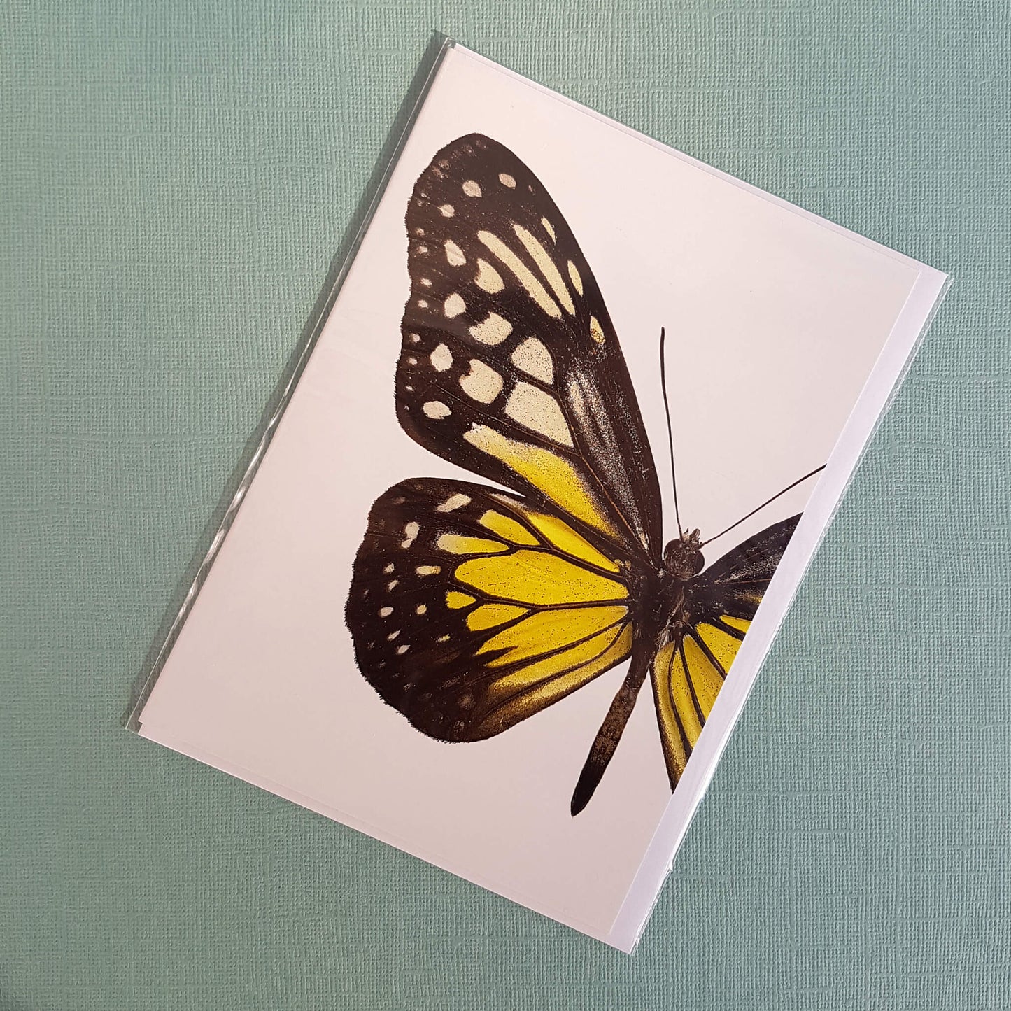 Macro Photography Greeting Card with Envelope Yellow Butterfly - Unik by Nature