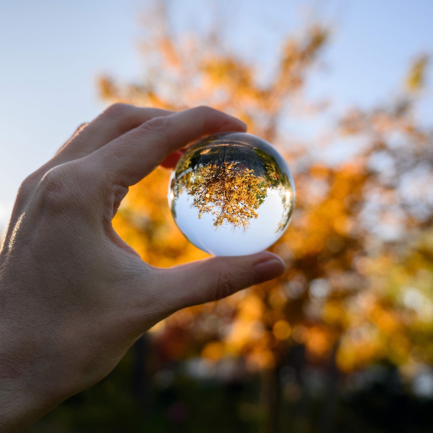 Photo Lensball with stand 60mm - Unik by Nature